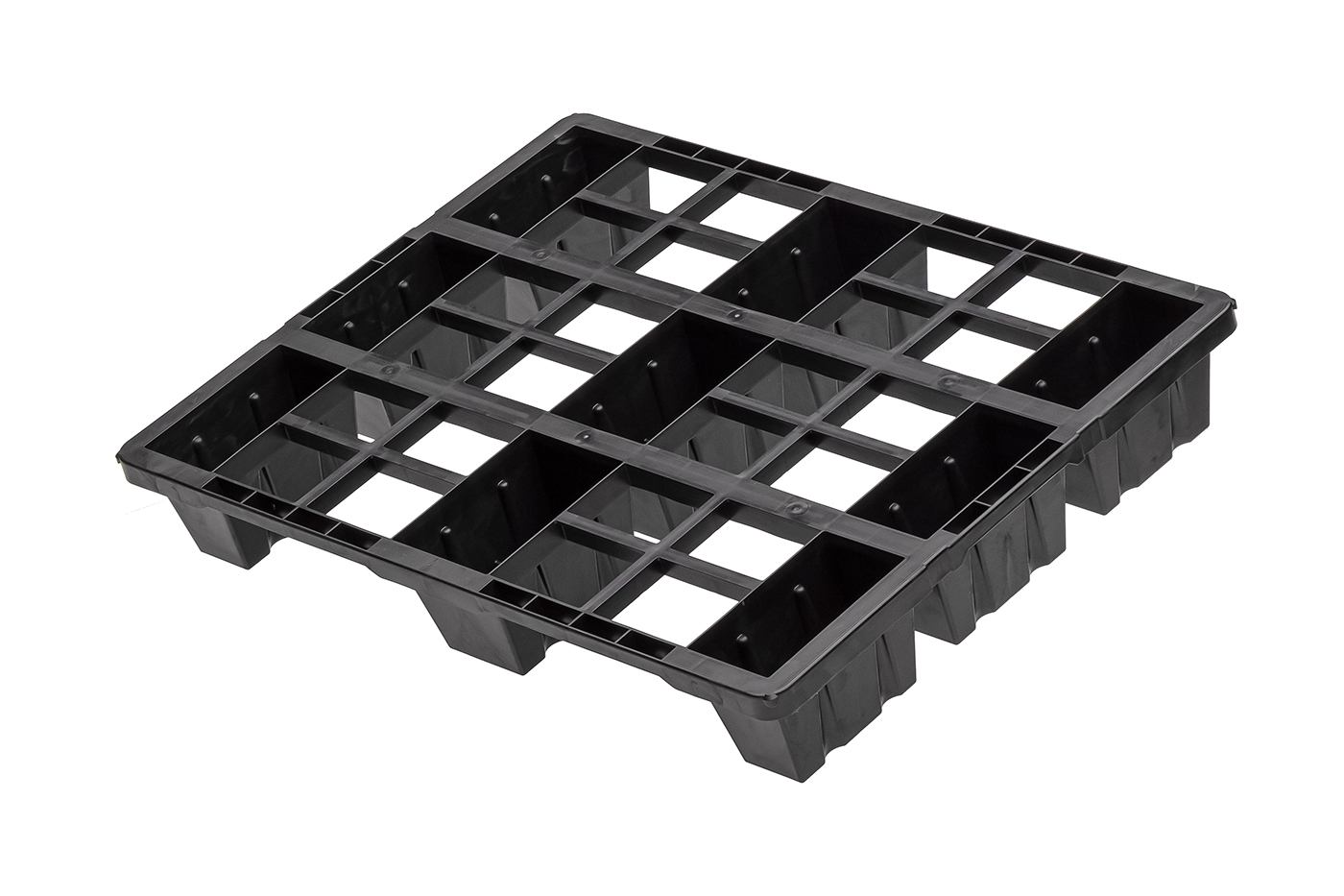 Fidus Light 806 9F o. Rand