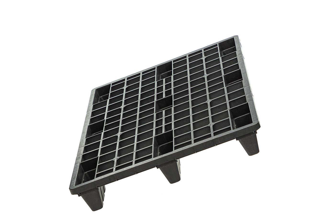 Fidus Ultralight 1208 m. Rand