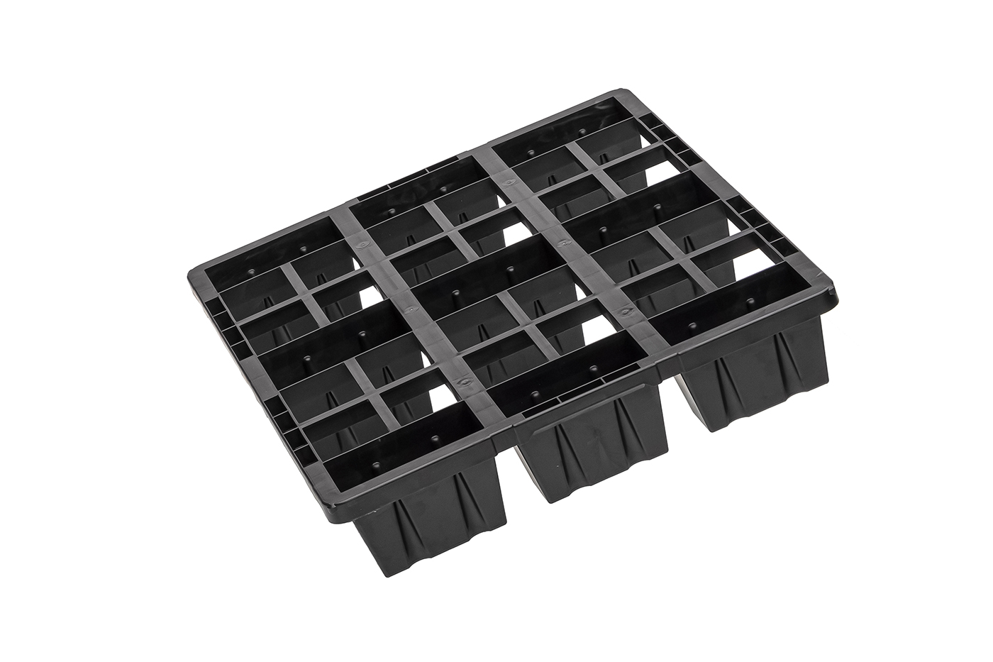 Fidus Light 806 9F o. Rand