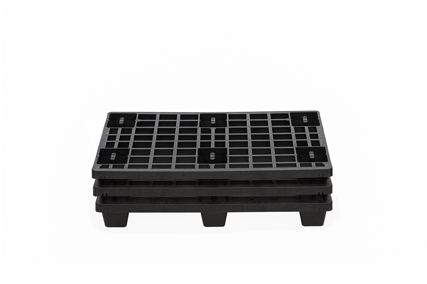 Fidus Light 806 4W m. Rand