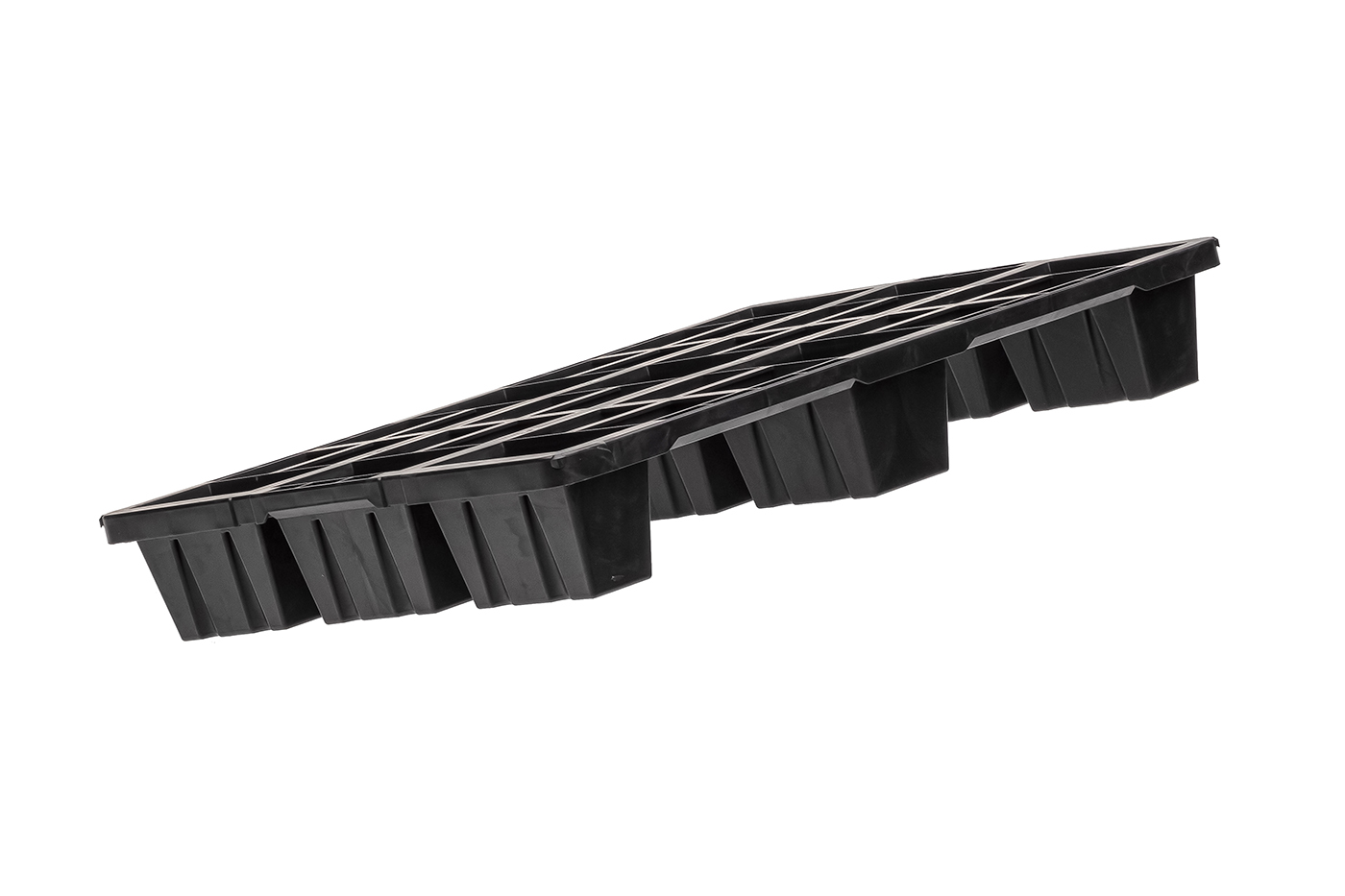 Fidus Light 806 9F o. Rand