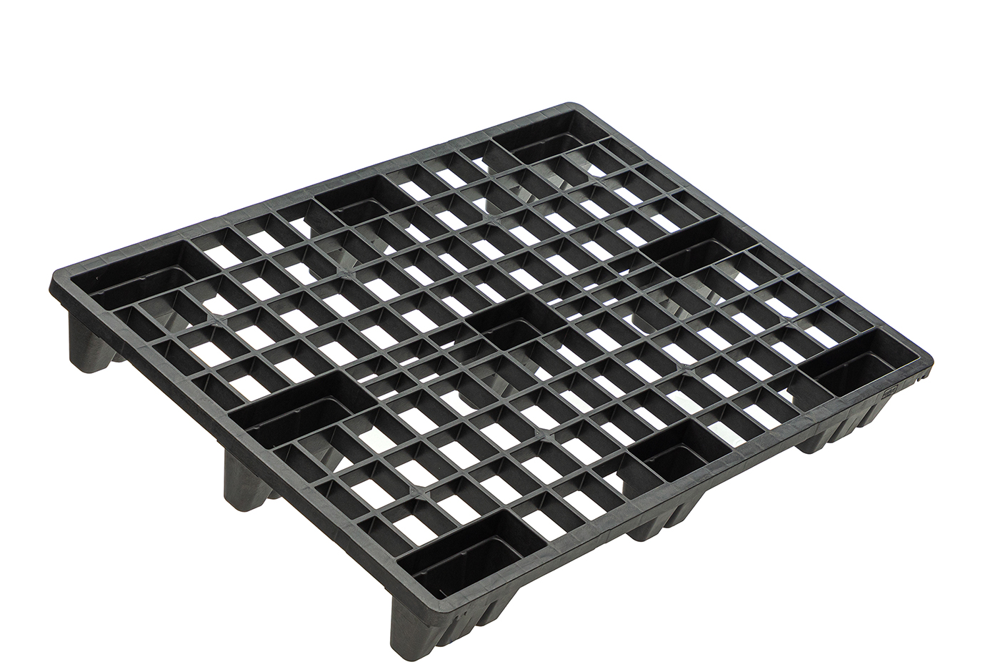 Fidus Ultralight 1208 m. Rand