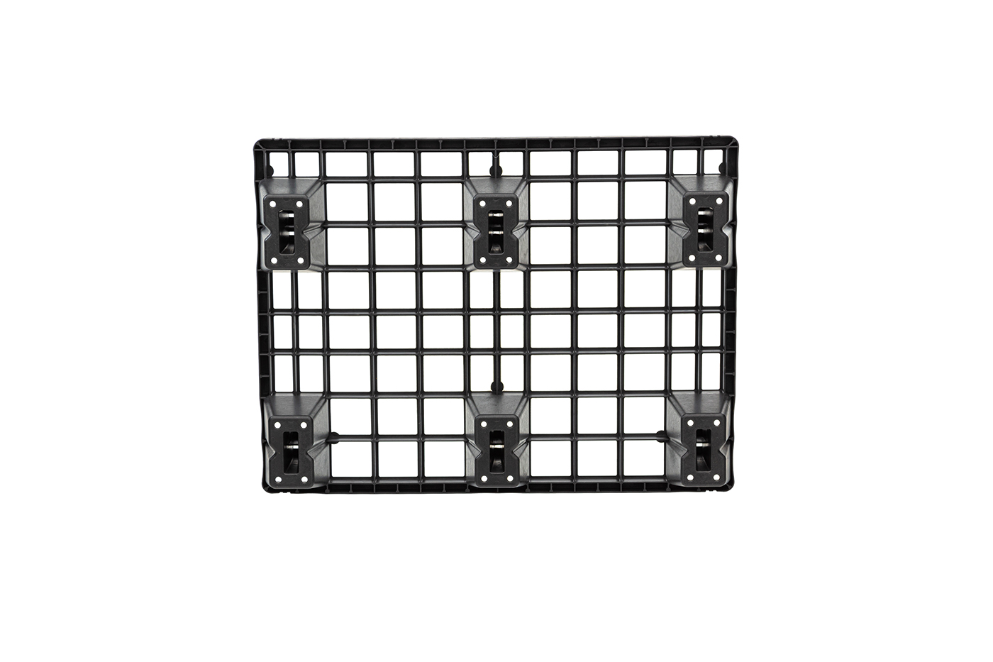 Fidus Light 806 4W m. Rand