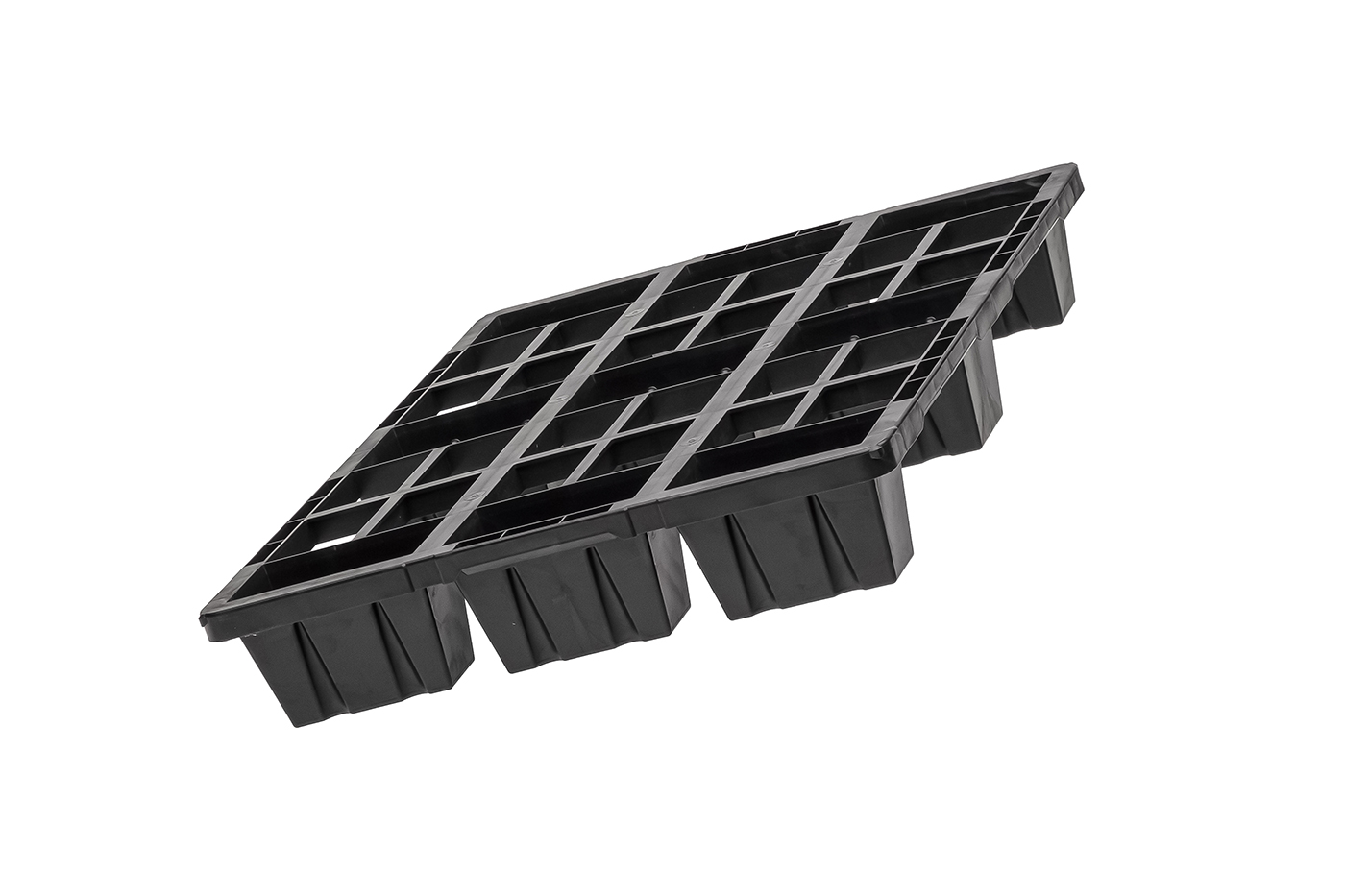 Fidus Light 806 9F o. Rand