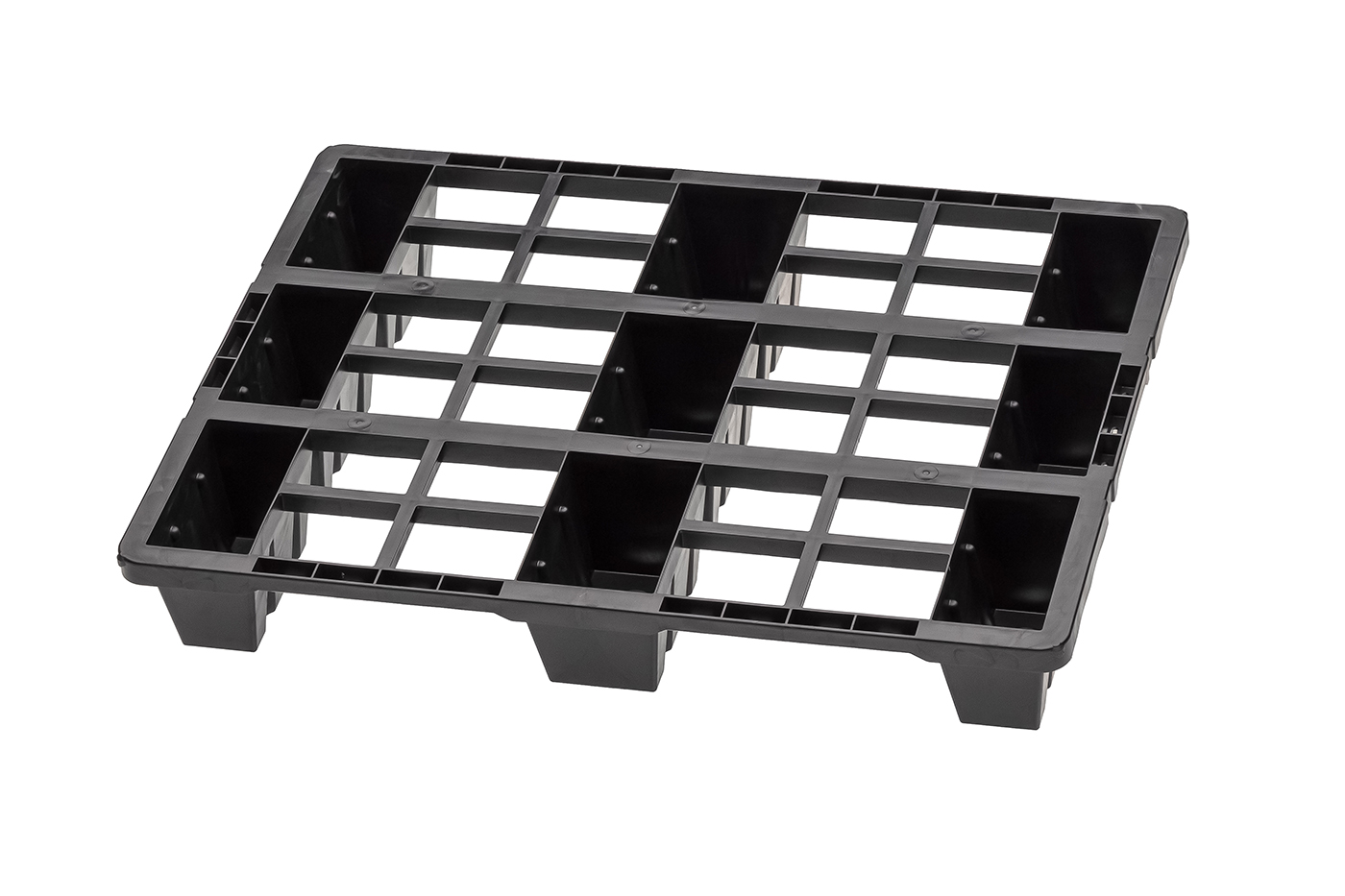 Fidus Light 806 9F o. Rand