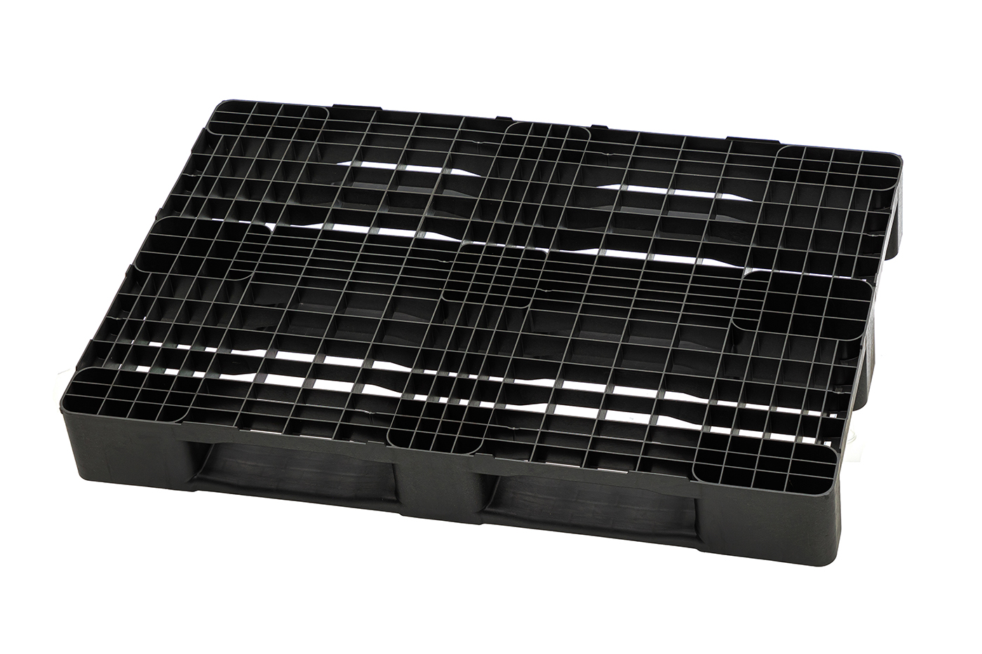 Fidus Medium 1208 3R m. Rand