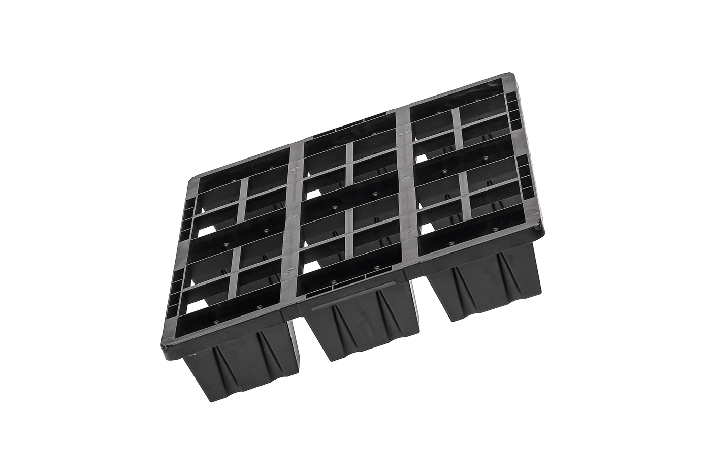 Fidus Light 806 9F o. Rand