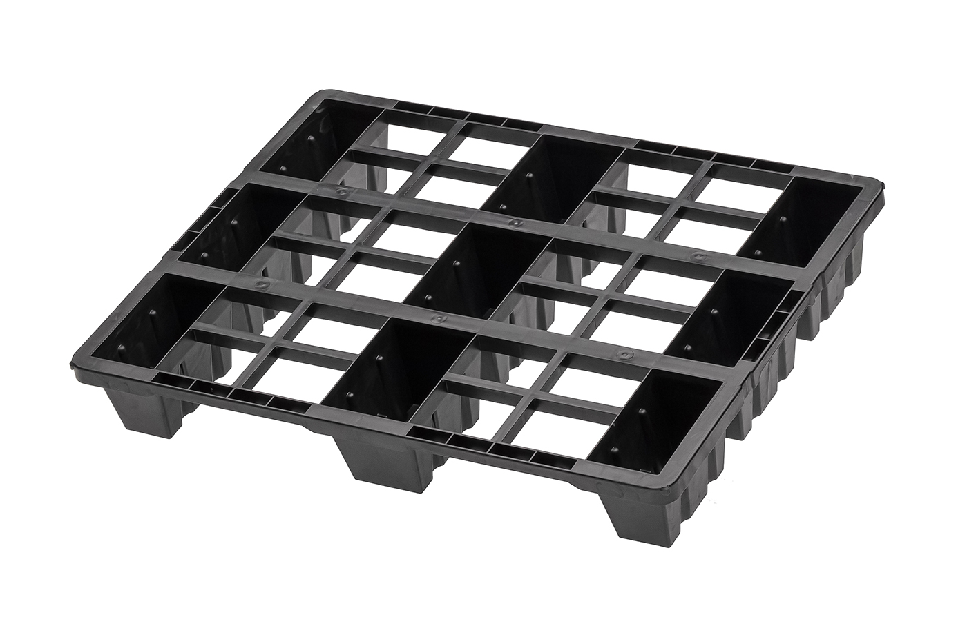 Fidus Light 806 9F o. Rand