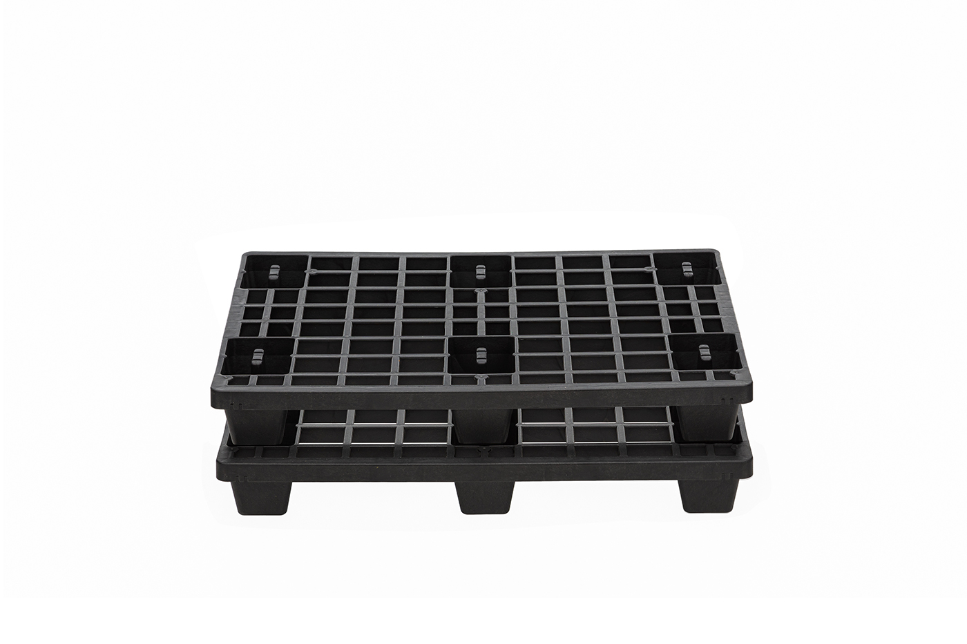 Fidus Light 806 4W m. Rand