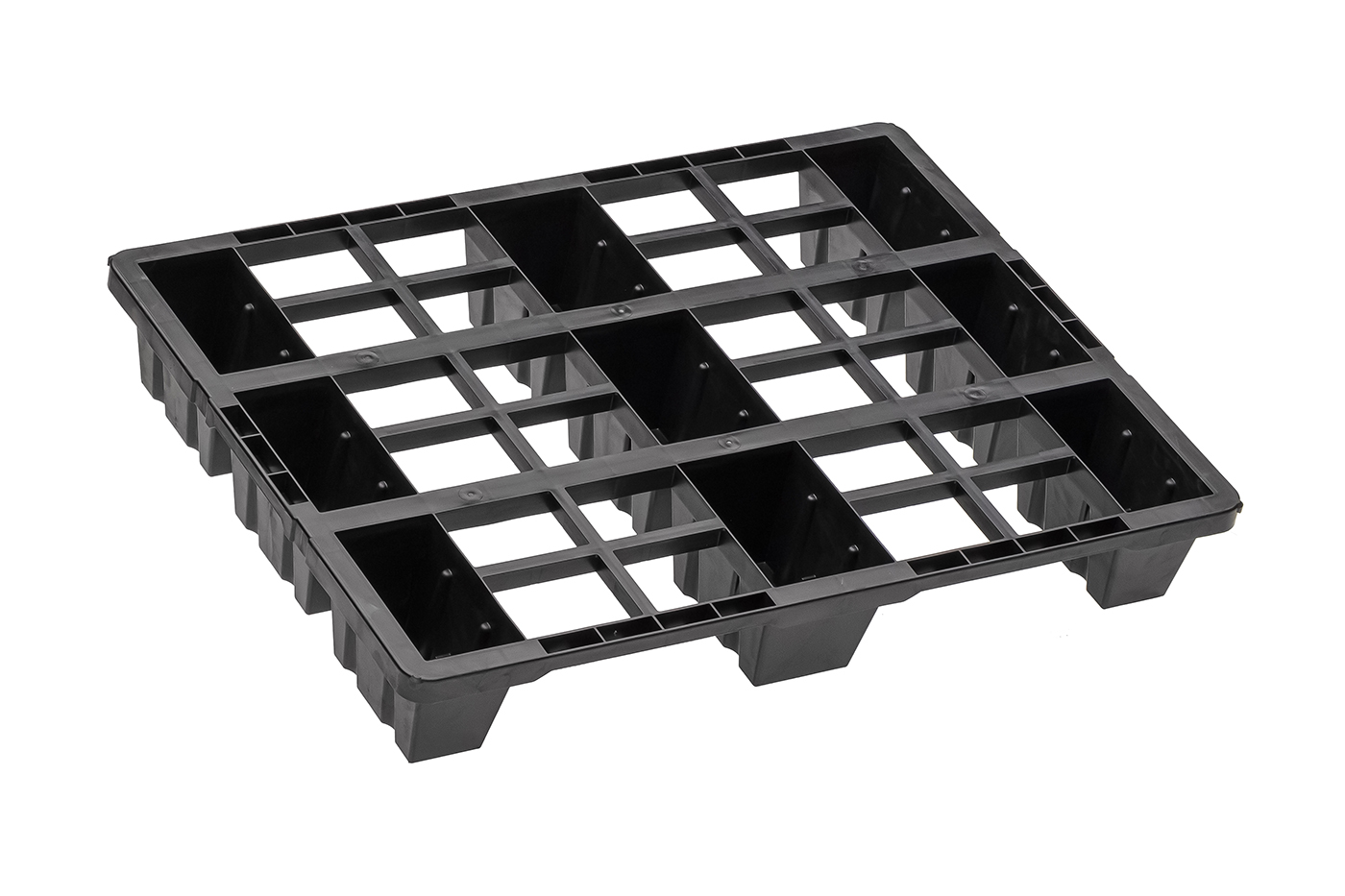 Fidus Light 806 9F o. Rand