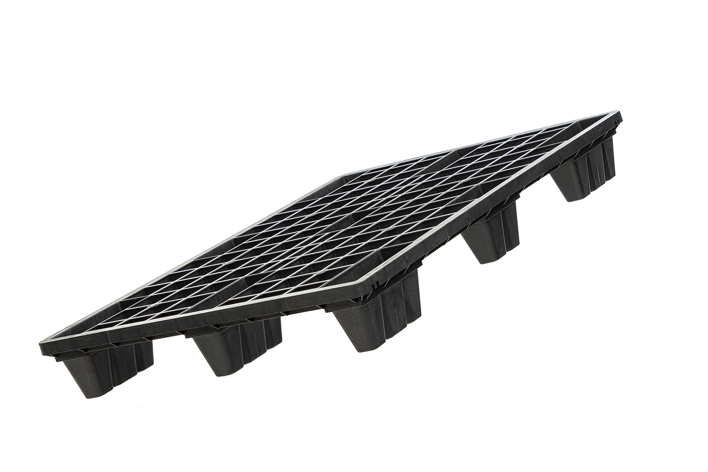 Fidus Ultralight 1208 m. Rand