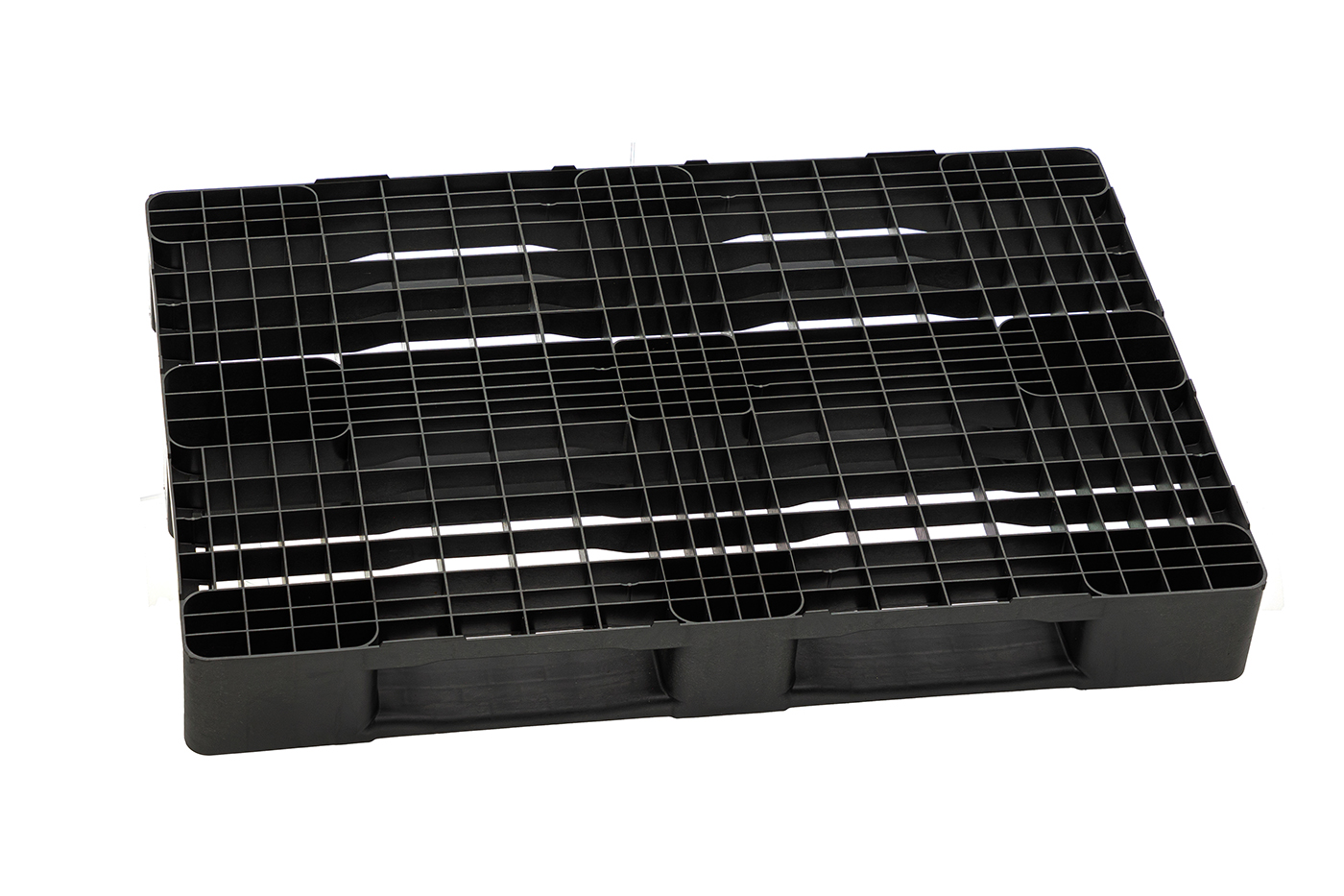 Fidus Medium 1208 3R m. Rand