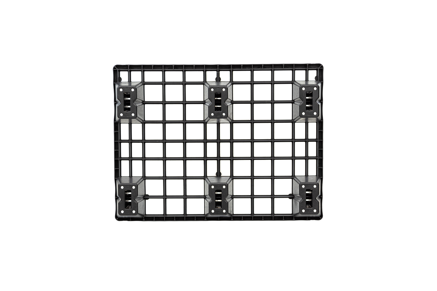 Fidus Light 806 4W m. Rand