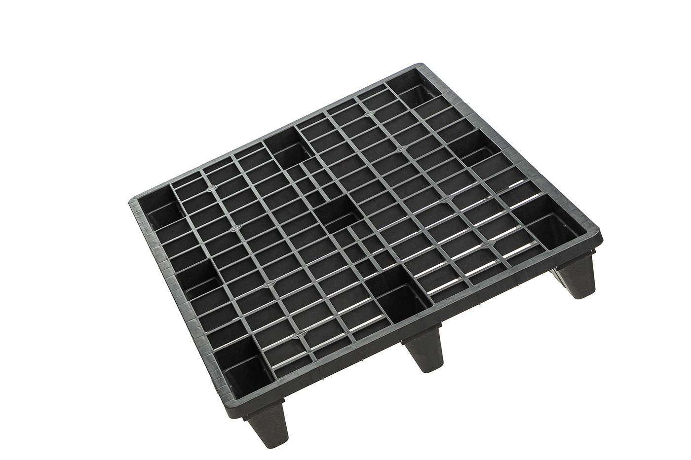 Fidus Ultralight 1208 m. Rand