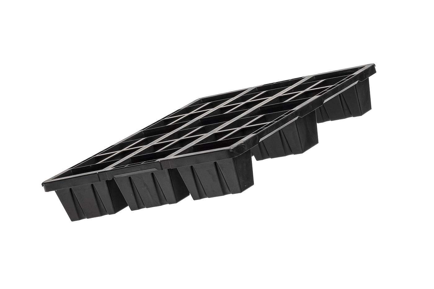 Fidus Light 806 9F o. Rand