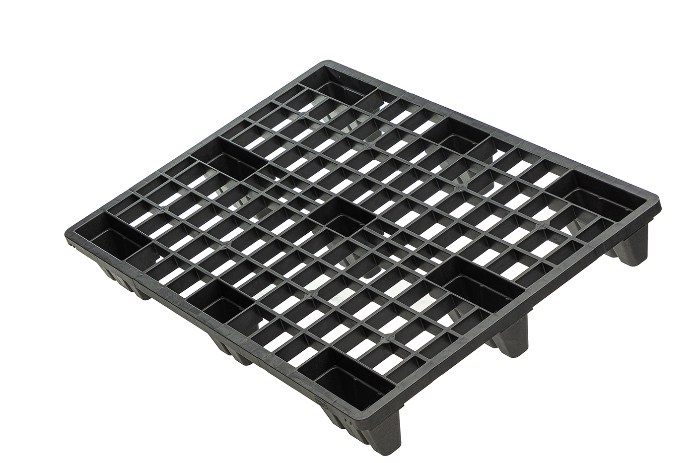 Fidus Ultralight 1208 m. Rand