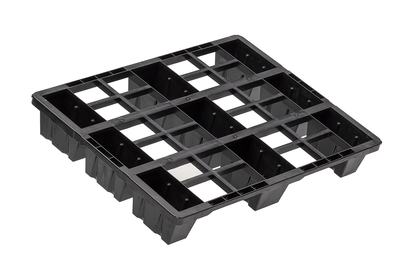 Fidus Light 806 9F o. Rand