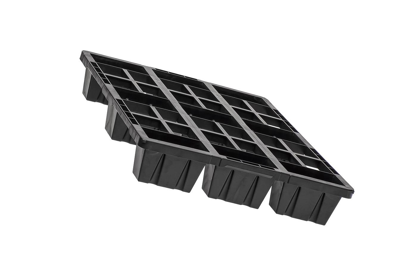 Fidus Light 806 9F o. Rand