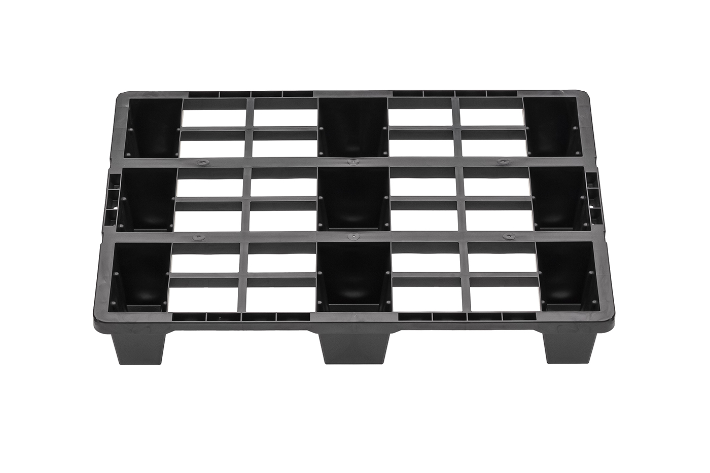 Fidus Light 806 9F o. Rand