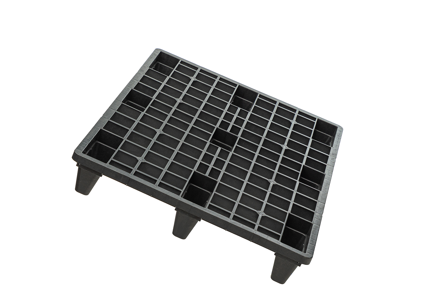 Fidus Ultralight 1208 m. Rand