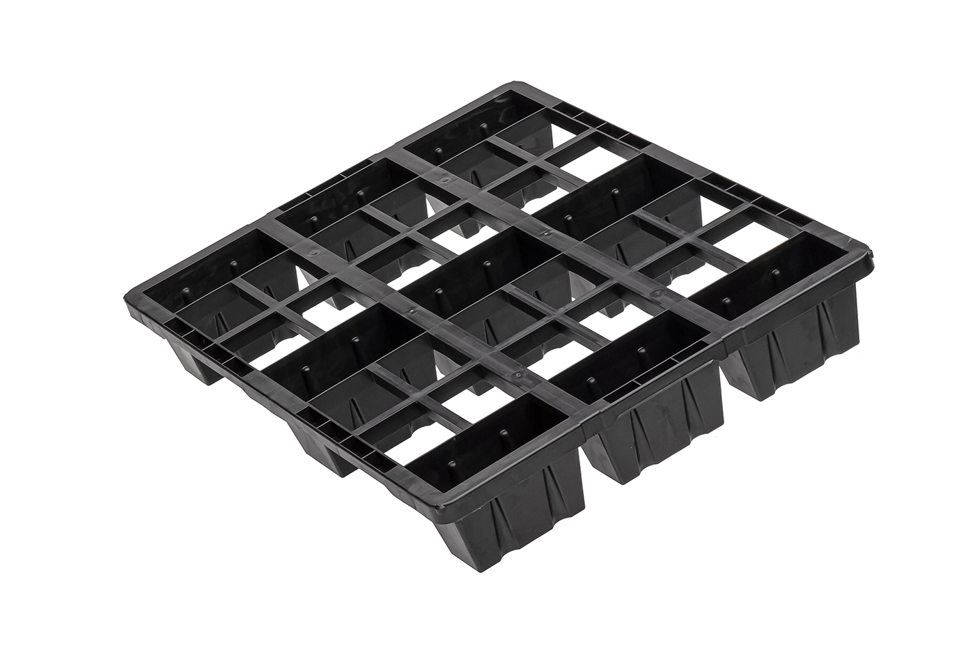 Fidus Light 806 9F o. Rand