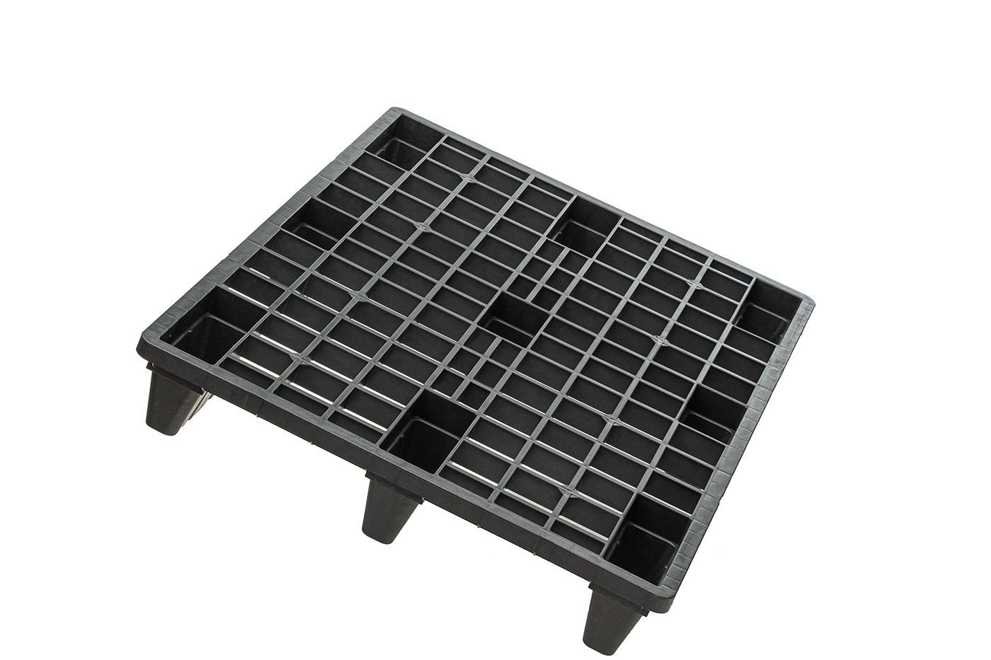 Fidus Ultralight 1208 m. Rand