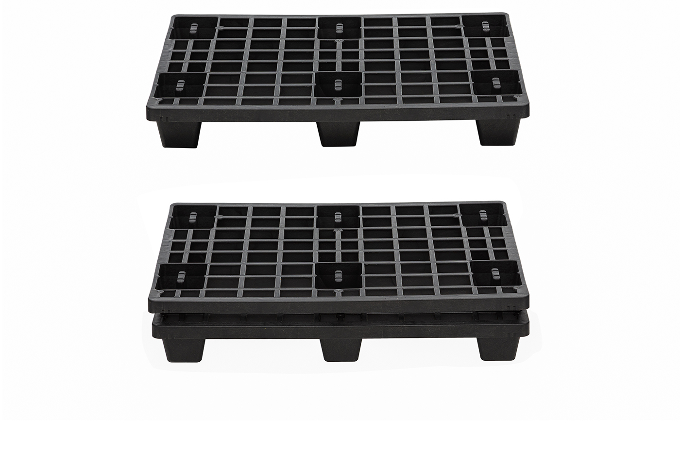 Fidus Light 806 4W m. Rand