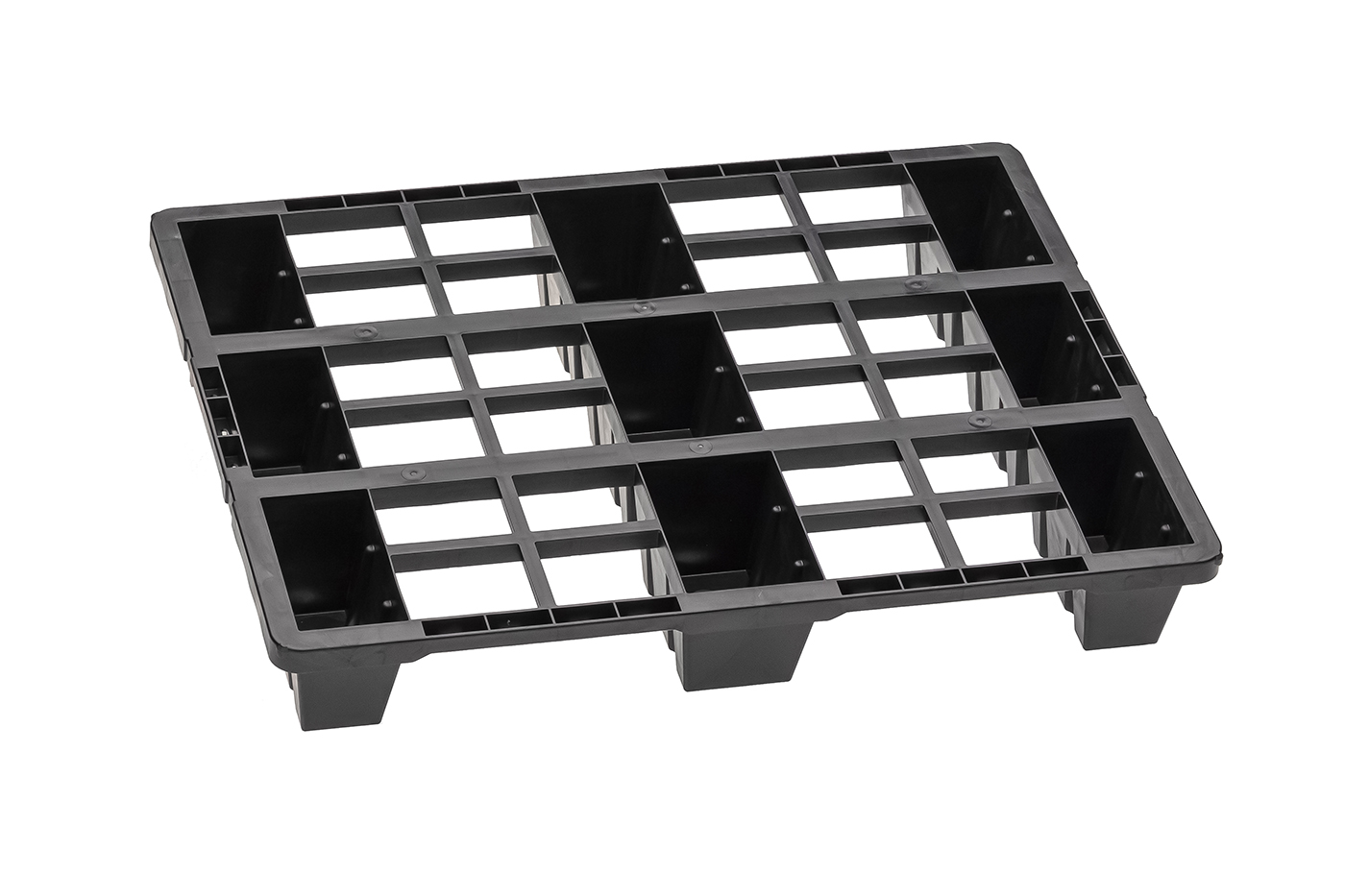 Fidus Light 806 9F o. Rand