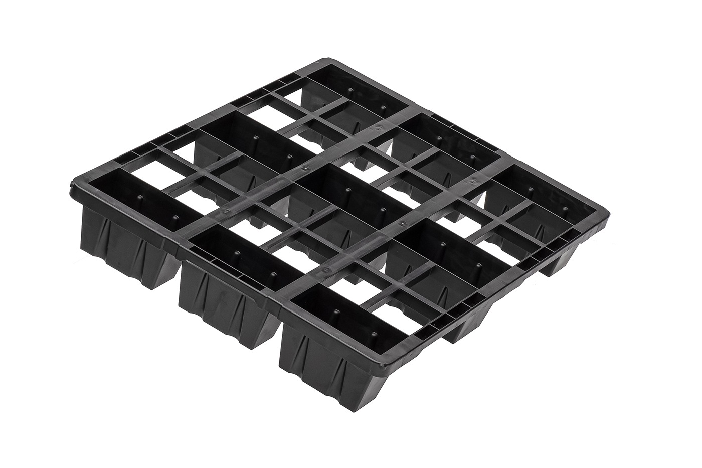 Fidus Light 806 9F o. Rand